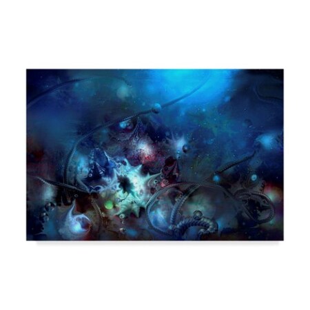 Trademark Fine Art RUNA 'Underwater2' Canvas Art, 12x19 ALI21593-C1219GG